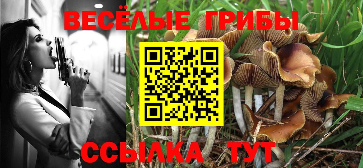 Псилоцибиновые грибы ЛСД  Псилоцибиновые грибы ЛСД  Вход с VPN  Лысьва 